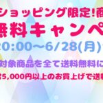 Yahoo！ショッピング限定！商品限定！送料無料キャンペーン★