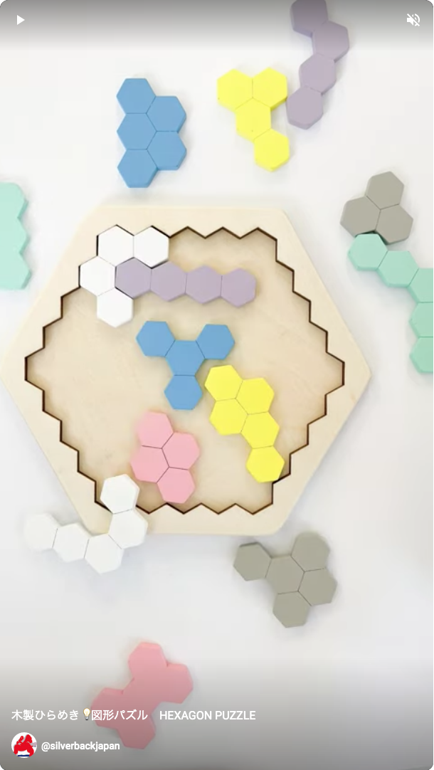 木製！ひらめき図形パズル ヘキサゴンパズル