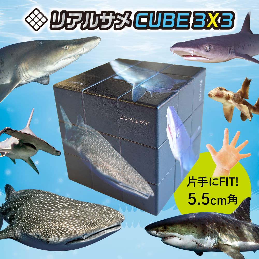 product_img03