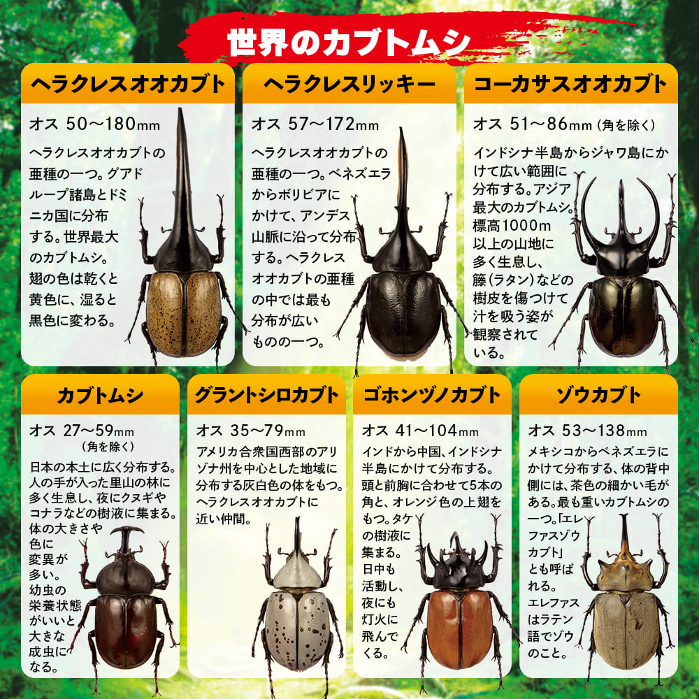 product_img03
