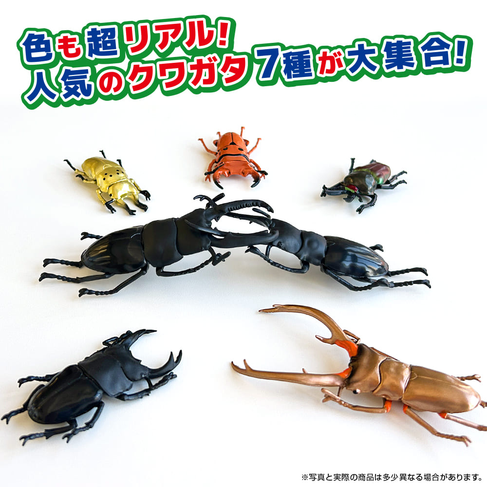 product_img04