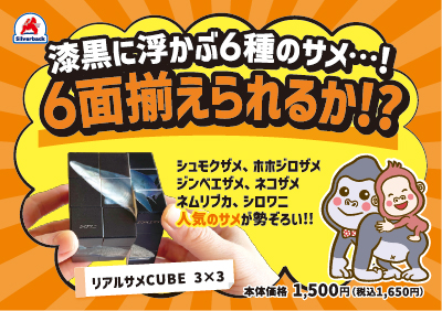 リアルサメCUBE_A7_POP
